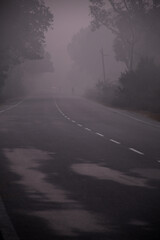 road in fog