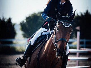 female rider on a brown horse in jumping competition