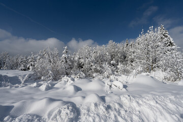 Schneelandschaft