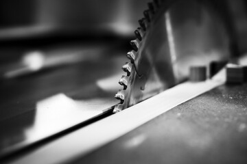 Circular table saw disc with carbide teeth, close-up