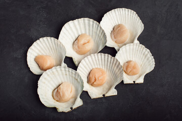 Scallops in the shells. Set. On a black background. Close up.