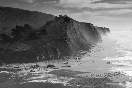 San Gregorio State Beach. Dramatic coastline windy surf view. California, USA, Earth. Monochrome.