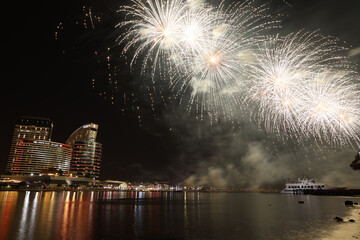 fireworks over the river