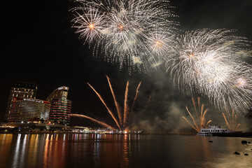 fireworks over the river