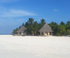 Fototapeta na wymiar Maldives island of coco palm