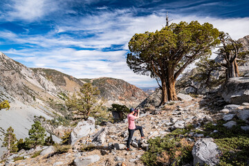 A man is taking a picture of an old tree on the top of the rocky hill somewhere in the middle of the Sierra Nevada mountain range, California, USA, Earth.