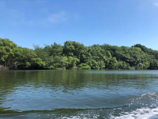 Manglar Ecuador