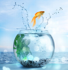 Goldfish jumping out of water and beautiful seascape on background