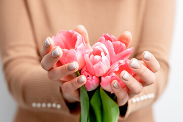 Closeup of pink tulip buds in hands of a young woman. Pink flowers in female hands