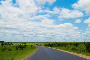 Fototapeta na wymiar Straße mit Kurve in der grünen Landschaft Südafrikas mit viel weiß blauem Himmel bis zum Horizont