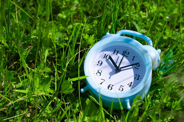 Small alarm clock among young green lush background. Metaphor of summer season coming.