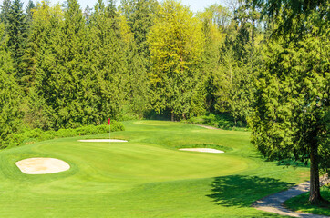 Obraz premium Golf course with yellow sand bunker and fantastic forest view.