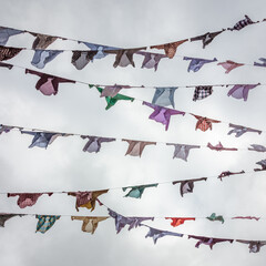 dozens of shirts hanging from clothes lines