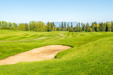 Golf course with yellow sand bunker and fantastic forest view.
