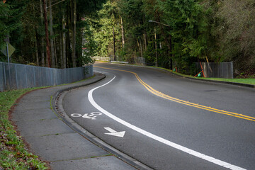 Curving road with trees and bicycle lane