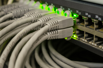 A bunch of internet wires are connected to the server switch. There are many subscriber Internet cables in the ports of the network router. Telecommunications are close up