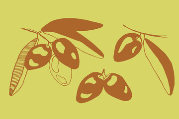 Set of olives, hand drawing - sand color doodle. Used for packing oil, cards, logo.