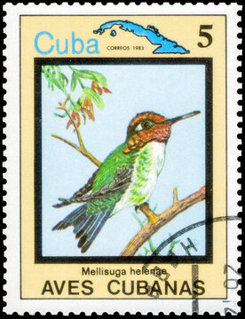 Postage stamp issued in the Cuba with the image of the Bee Hummingbird, Mellisuga helenae. From the series on Endemic birds, circa 1983