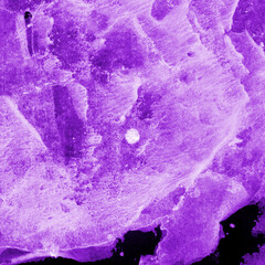 Violet ink and watercolor texture on white paper background. Paint leaks and decalcomania effects....