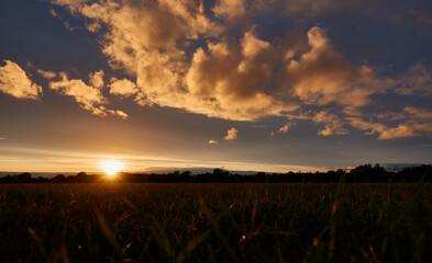 Beautiful sunset in the evening, gray clouds against a deep blue sky, meadow as a silhouette, depth...