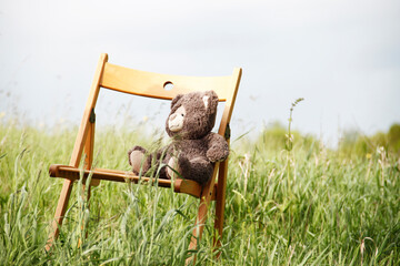 bear in the grass