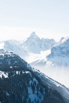 2018-04 - Samo&euml;ns