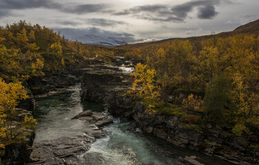 Autumn landscape with a river gorge in swedish Lapland