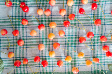 Fresh homemade ripe sweet cherries on squared fabric background. Summer still life