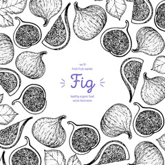 Fig fruit sketch frame, hand drawn vector illustration. Fig design template . Fig fruit hand drawing