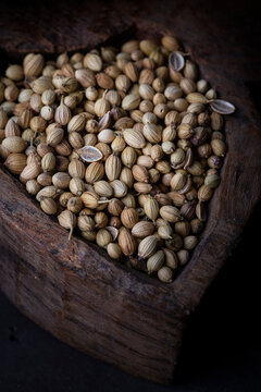 Coriander seed - spice 