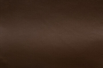 Brown leather texture with light stretch, background.