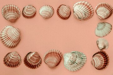 Abstract background, seashells in frame shape, summer vacation concept