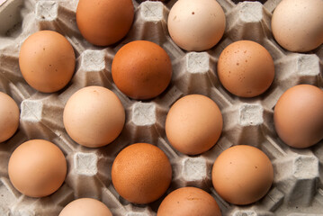Farm organic eggs arranged in cardboard tray closeup