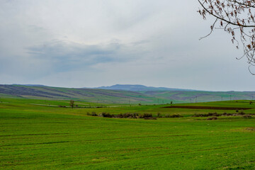 Obraz premium Azerbaijan, farmland on the road to the city of Sheki