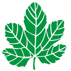Fig tree leaf print, , green leaf