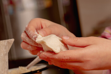 Obraz premium Close up process of making dumplings with potatoes and cheese stuffing. Food concept.