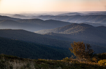 Bezkresny las porastający dzikie górskie szczyty, Bieszczady, Polska © Przemysław Głowik