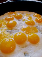 fried egg in a frying pan