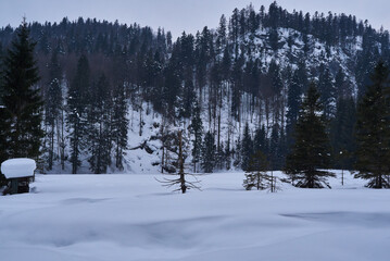 schneemassen winterwandern
