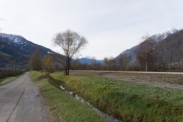 Fototapeta na wymiar Picturesque landscape in South Tirol in autumn, in the fore a small creek and a single tree, in the background the snow-covered mountains, blue sky with clouds, no people