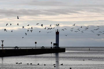 Landscape photograph of pier and water