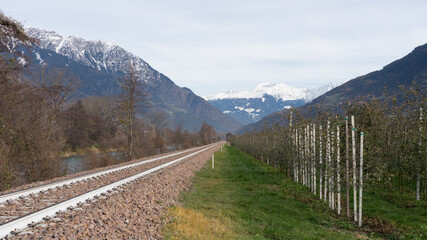 Picturesque landscape in South Tirol in autumn, in the fore a apple plantation at the railway, in...