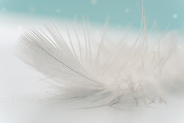 Beautiful abstract white feather on white and blue background. soft white feather texture on white and blur pattern. some snowflakes in the background