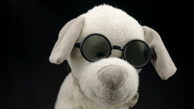 34750_A_dog_stuffed_toy_wearing_a_sunglasses.mov