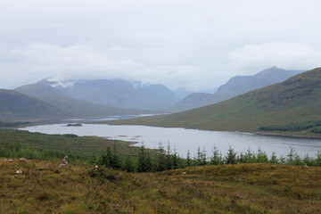 Obraz premium A view of the Scottish Countryside near Fort William and Ben Nevis
