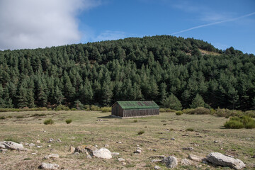 Una casa vieja de color verde en medio del monte 