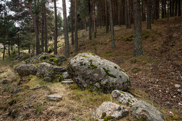 piedras enormes en el bosque