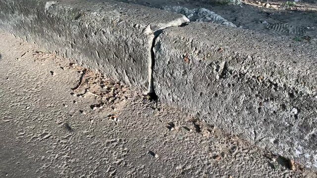 Wasps getting in and out of their nest through a hole in between concrete curb stone blocks