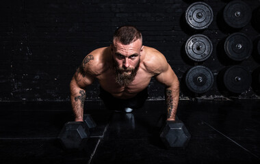 Naklejka na ściany i meble Young active sweaty strong fit muscular man with big muscles doing push ups on the dumbbells in the gym as hardcore cross workout training