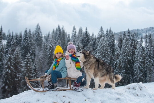 Happy little kids couple with dog haski at the forest nature park in the cold season. Travel children adventure.